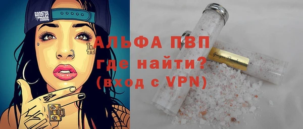 эйфоретик Баксан