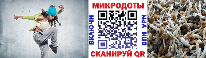 Псилоцибиновые грибы мухоморы  блэк спрут ссылки  Дорогобуж 