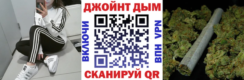 где купить наркотик  Дорогобуж  Канабис конопля 